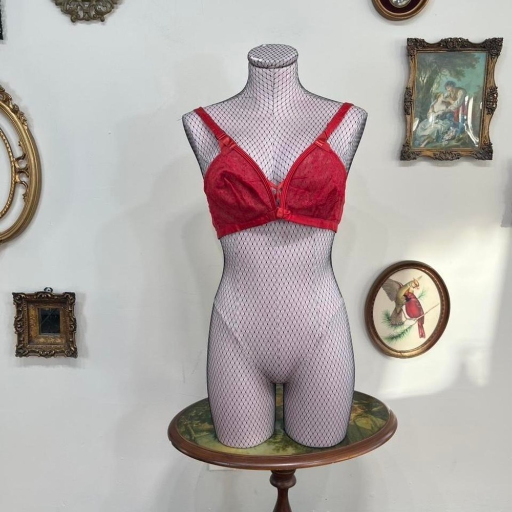 Vintage 1960s Cheers by Harriette Ross Red Sheer Lace Bra – Size 36B
